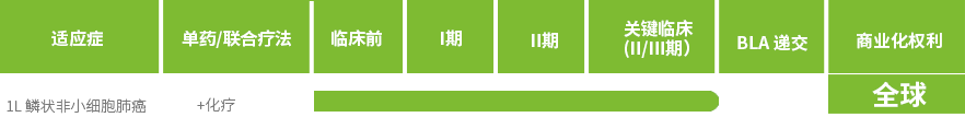 KN046表格-cn