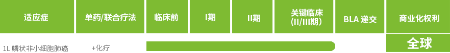 KN046表格-cn